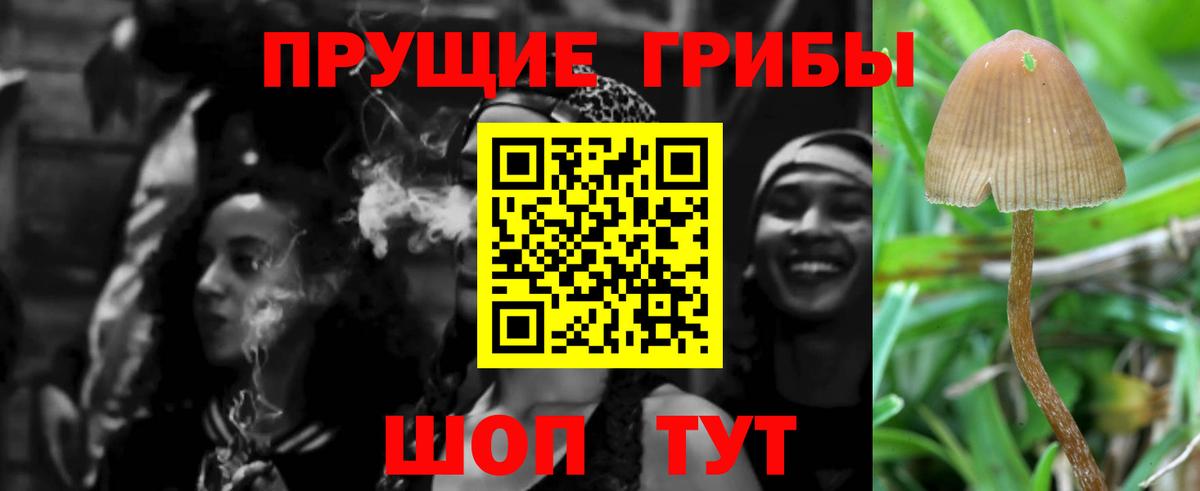 Галлюциногенные грибы мицелий  Вход с VPN  Тулун 